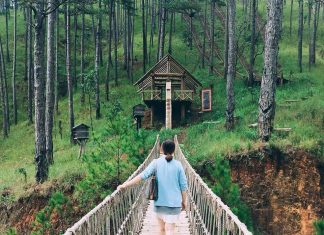 Mua tour đà lạt du lịch tết tân sửu ngay để nhận ưu đãi tour da lat tet