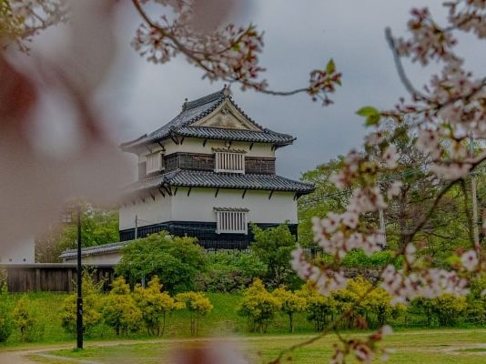 Vẻ đẹp của lâu đài Fukuoka - kiệt tác kiến trúc cổ tại Nhật Bản
